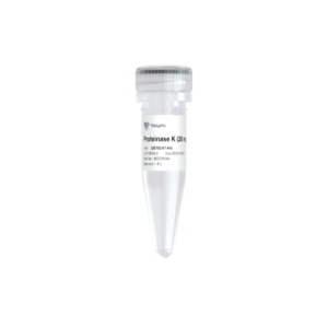 Proteinase K (20 mg/ml)
