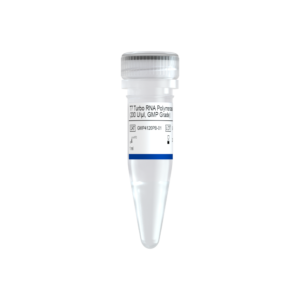 T7 Turbo RNA Polymerase (200 U/μl, GMP Grade)