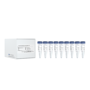 T7 High Yield RNA Transcription Kit