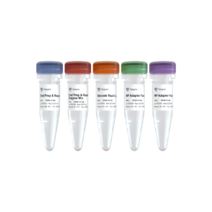 VAHTS TGS DNA Library Prep Kit for ONT