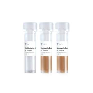 Mouse CD3+ T Cell Isolation Kit