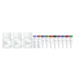 Hyperactive pG-MNase CUT&RUN Assay Kit for Illumina