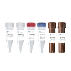 HiScript III U+ One Step qRT-PCR Probe Kit
