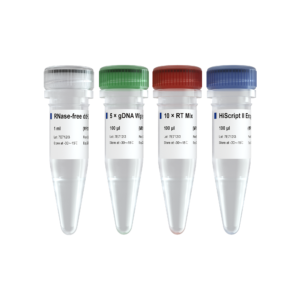 miRNA 1st Strand cDNA Synthesis Kit (by stem-loop)