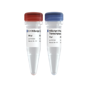 HiScript II Reverse Transcriptase