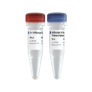 Hiscript III Reverse Transcriptase