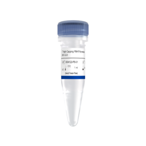 T7 High-Capping RNA Polymerase (200 U/μl)