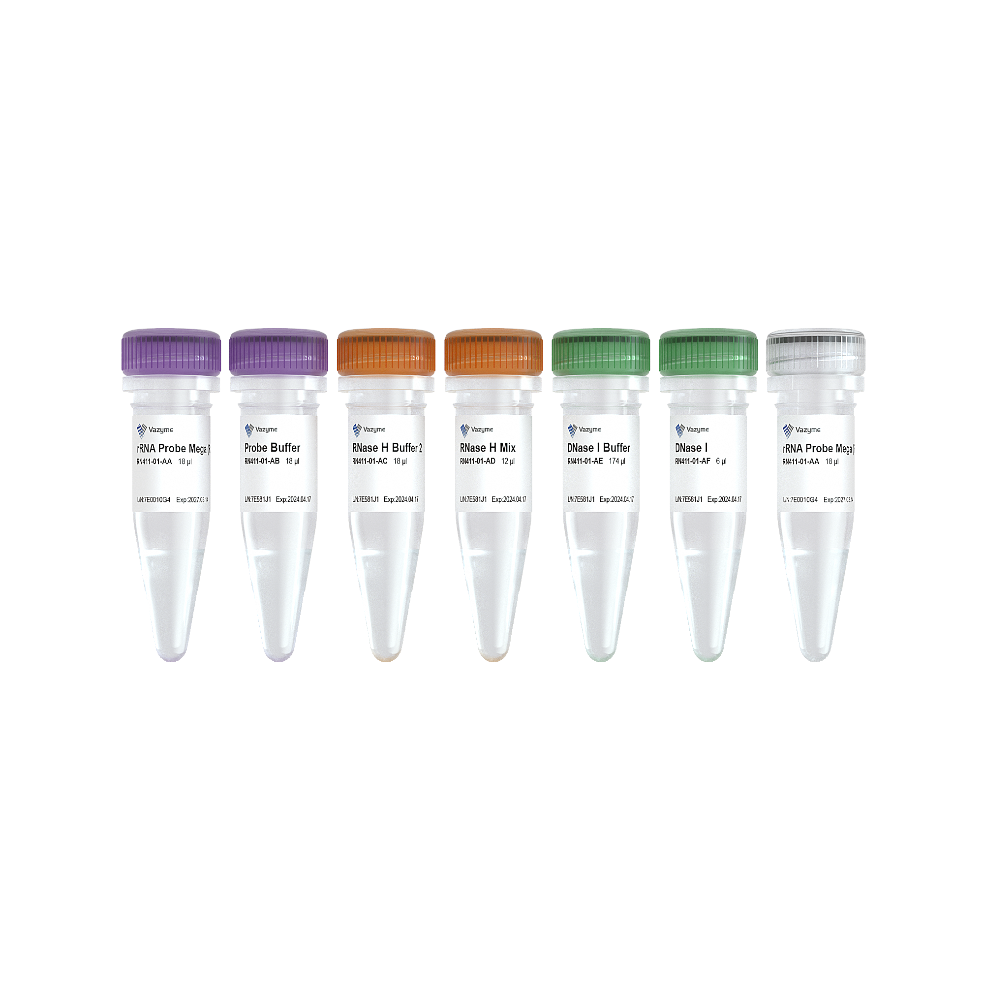Ribo-clean rRNA Depletion Kit Mega (R/M)