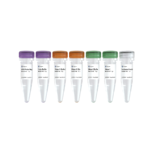 Ribo-clean rRNA Depletion Kit Mega (A/I/P)