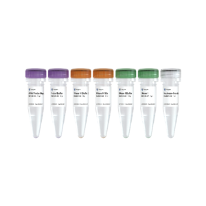 Ribo-clean rRNA Depletion Kit Mega (Fungi)