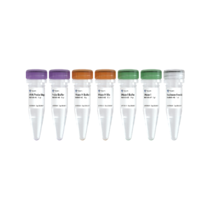 Ribo-clean rRNA Depletion Kit Mega (Plant)