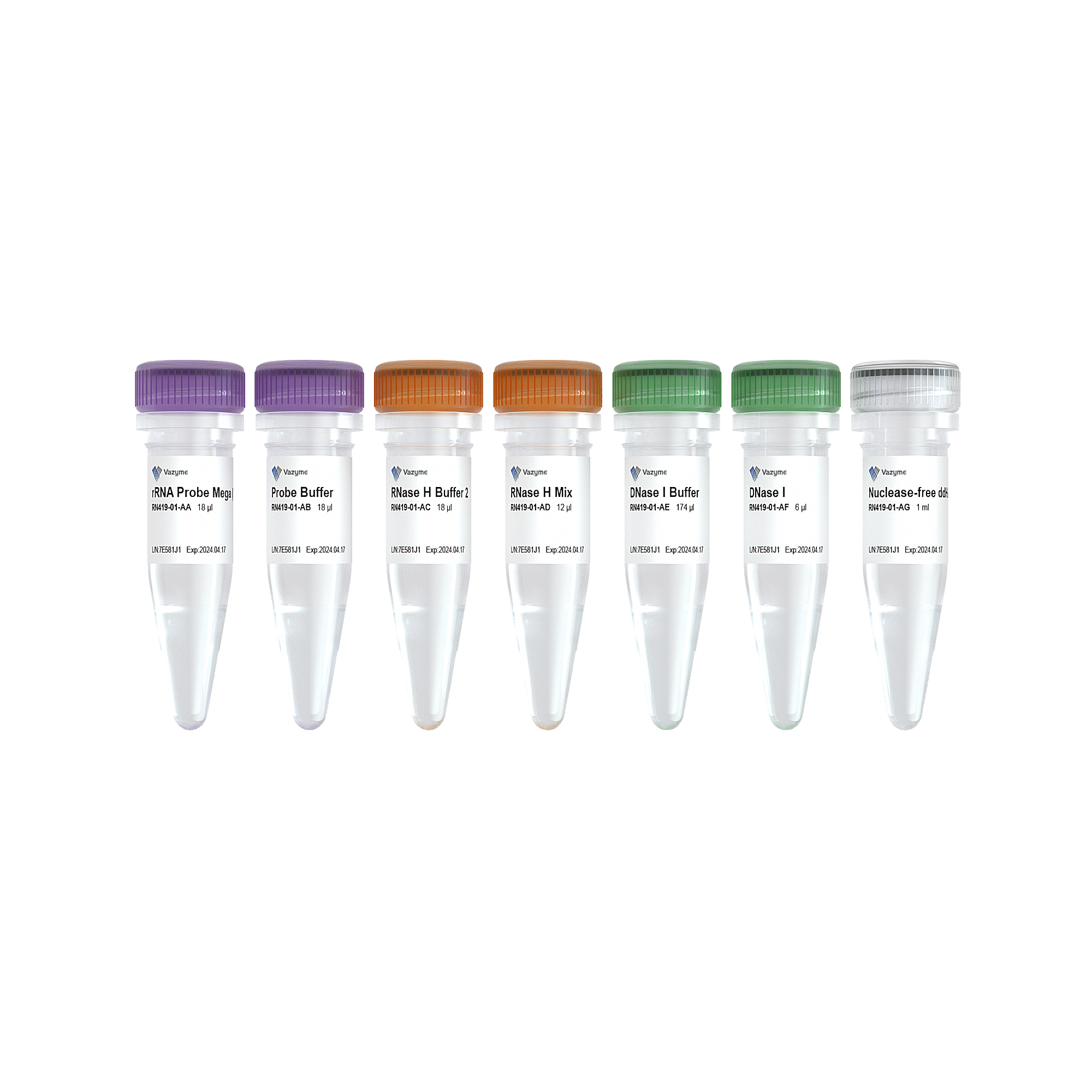Ribo-clean rRNA Depletion Kit Mega (Plant)