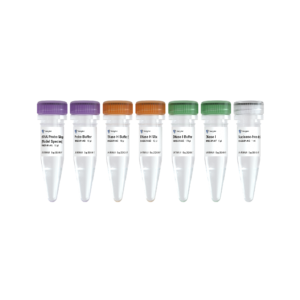 Ribo-clean rRNA Depletion Kit Mega (Model Species)