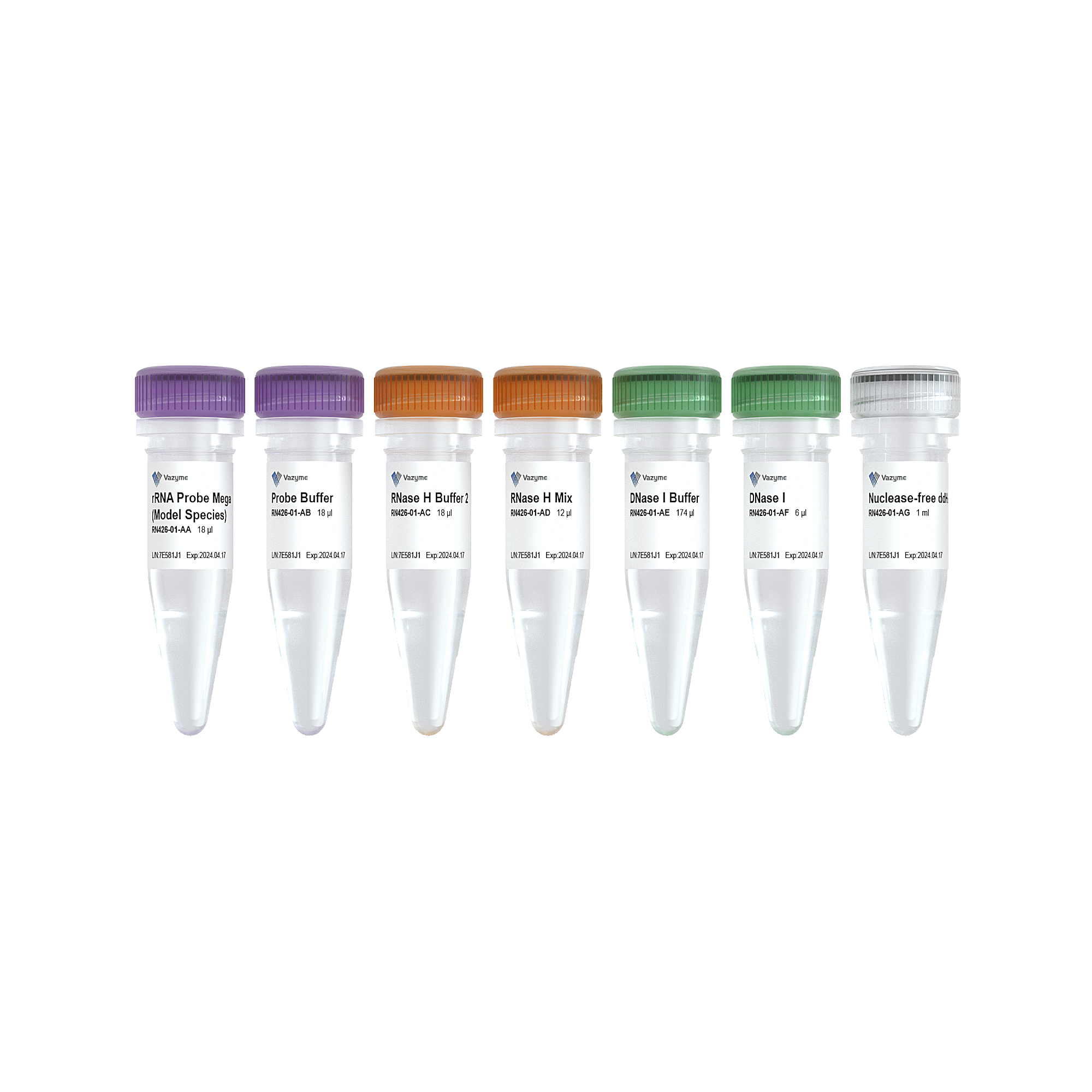 Ribo-clean rRNA Depletion Kit Mega (Model Species)