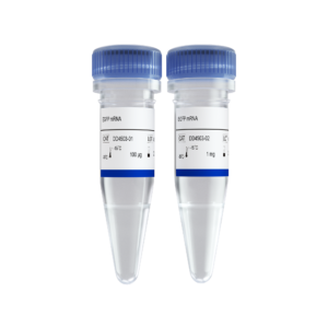 EGFP mRNA