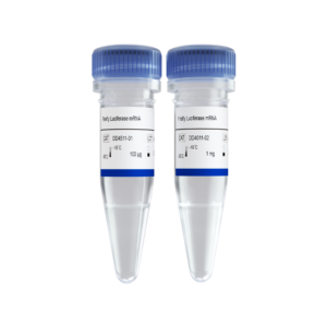 Firefly Luciferase mRNA