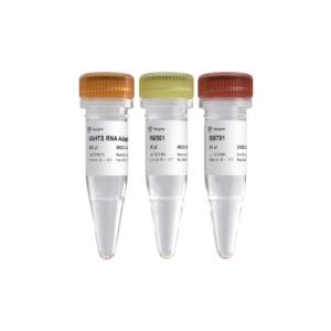 VAHTS RNA Multiplex Oligos Set 1/Set 2 for Illumina