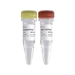 VAHTS Small RNA Index Primer Kit for Illumina