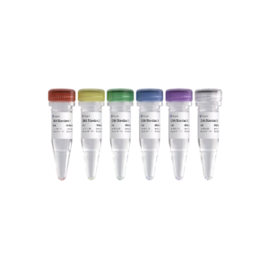DNA Standard 1 - 6