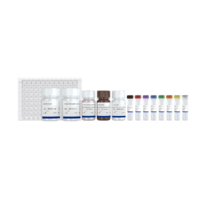 CHO HCP ELISA Kit
