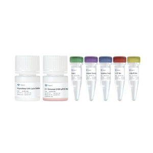 FlysisAmp Cells-to-CT 2-Step SYBR Green Kit