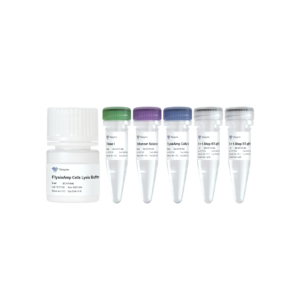 FlysisAmp Cells-to-CT 1-Step Probe Kit