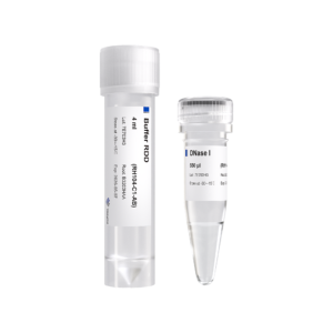 RNase-Free DNase Set