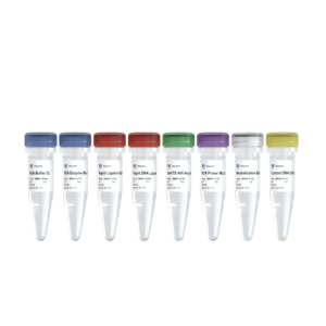 VAHTS Universal Plus DNA Library Prep Kit for Illumina V2