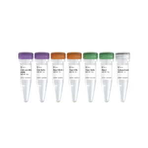 Ribo-off Globin & rRNA Depletion Kit (Human/Mouse/Rat)