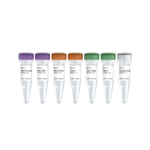 Ribo-off rRNA depletion kit (Plant)