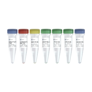 BioSmart U+ Taq HS DNA Polymerase