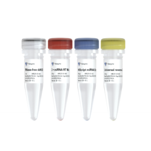 miRNA 1st Strand cDNA Synthesis Kit (by tailing A)