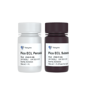 SuperPico ECL Chemiluminescence Kit