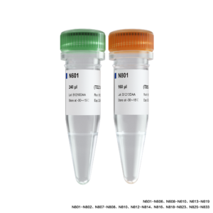 TruePrep Index Kit V3 for Illumina