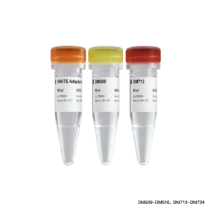 VAHTS Multiplex Oligos Set 5 for Illumina