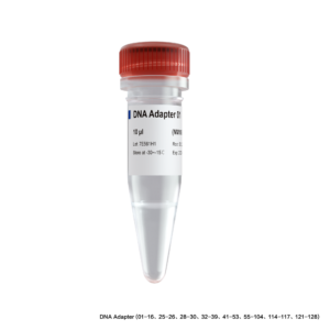 VAHTS DNA Adapters Set 8 for MGI