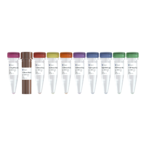 VAHTS Universal V8 RNA-seq Library Prep Kit for Illumina