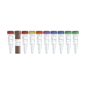 VAHTS Universal V8 RNA-seq Library Prep Kit for MGI