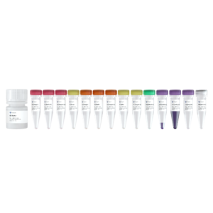 VAHTS Small RNA Library Prep Kit for Illumina V2