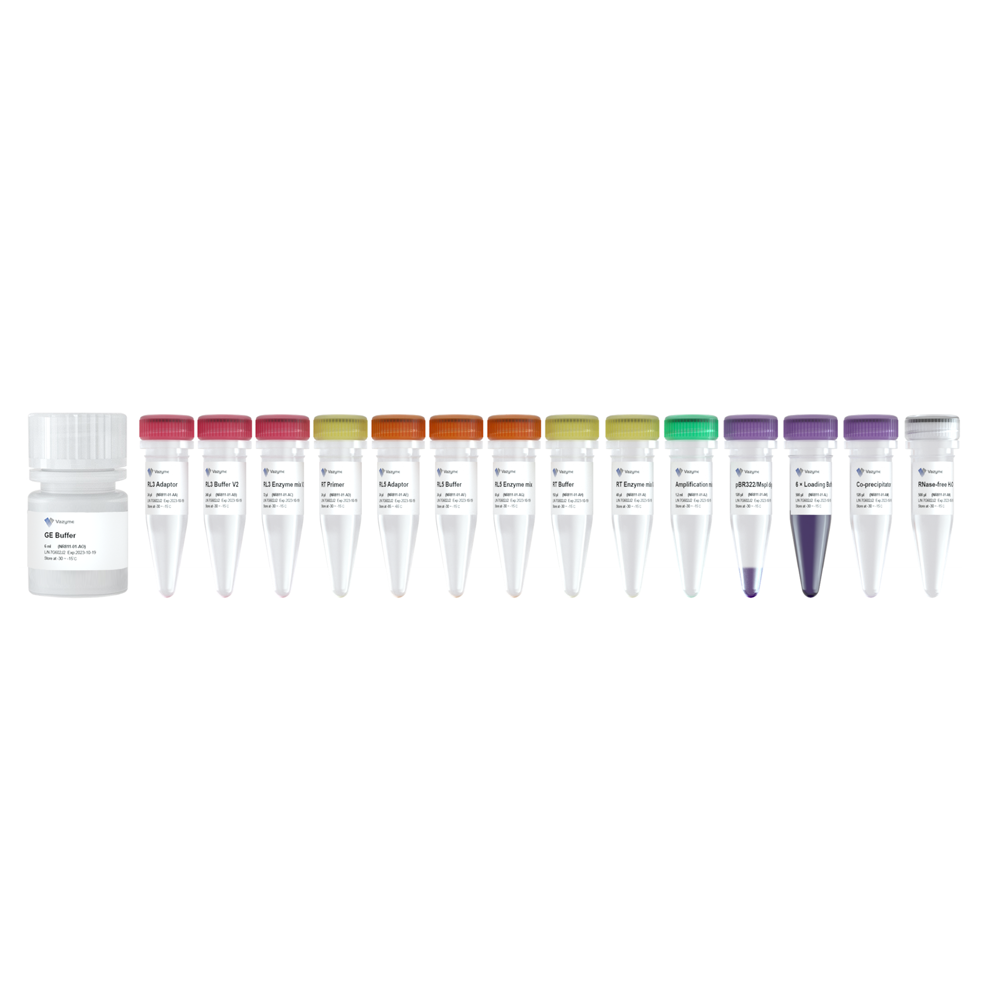 VAHTS Small RNA Library Prep Kit for Illumina V2