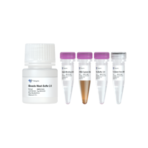 VAHTS mRNA Capture Beads 2.0
