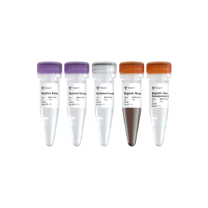 Ribo-MagOff rRNA Depletion Kit (Human/Mouse/Rat)
