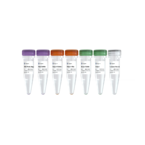 Ribo-clean rRNA Depletion Kit Mega (Bacteria)