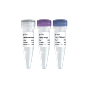 Mut Express Universal Fast Mutagenesis Kit