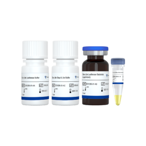 Duo-Lite Luciferase Assay System