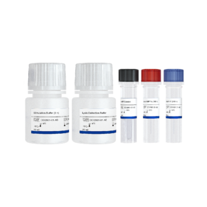 Add&Read TR-FRET cAMP Detection Kit