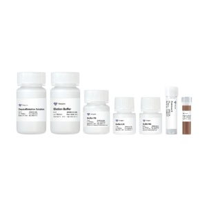 VAMNE MagUltra FFPE DNA Extraction Kit