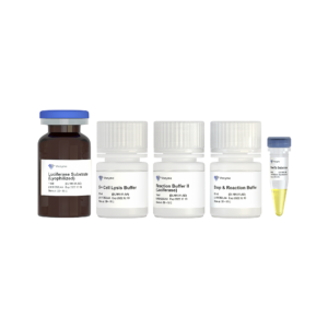 Dual Luciferase Reporter Assay Kit