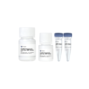 T7 RNA Polymerase (200 U/μl, GMP Grade)