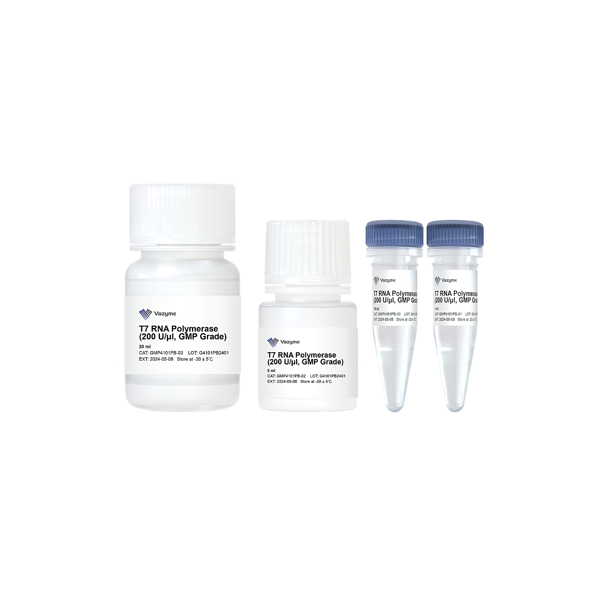 T7 RNA Polymerase (200 U/μl, GMP Grade)